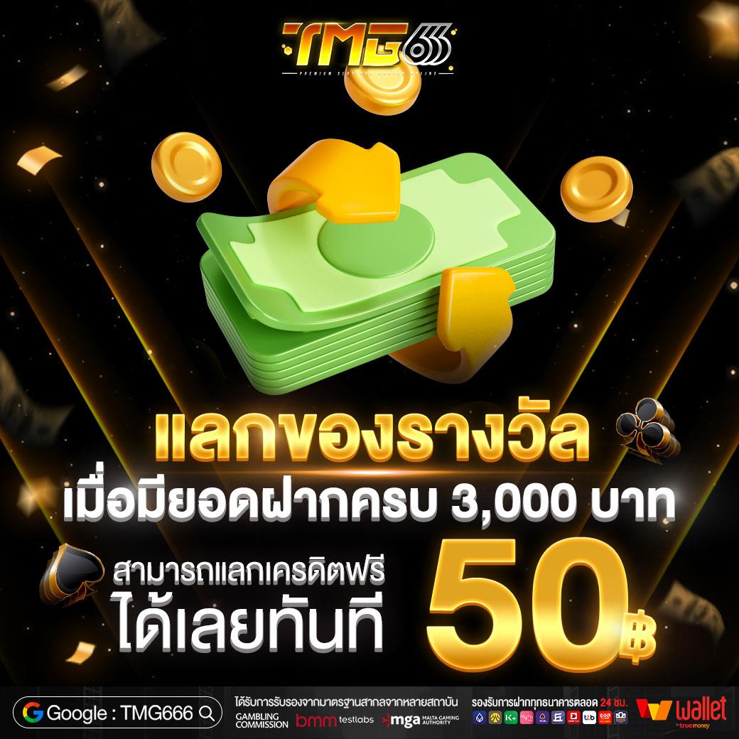tmg666 pro3