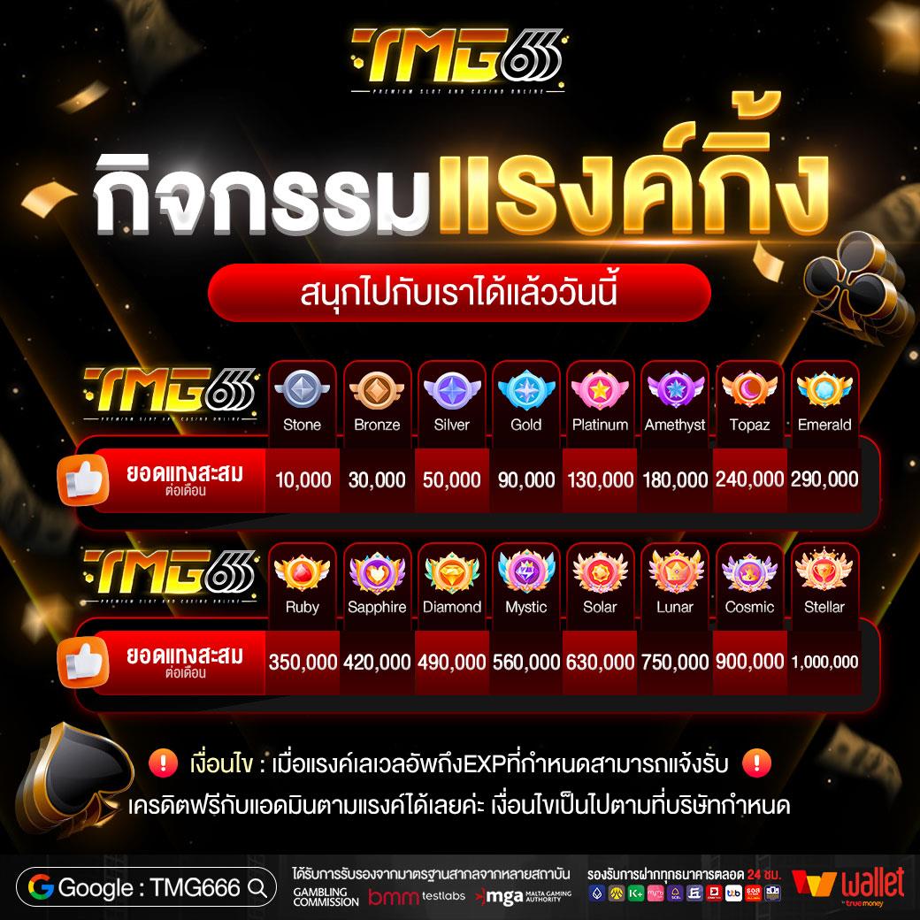 tmg666 pro1
